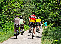 Wood Shed Bike Shop on teh Bike Trail in Silver Lake/Mears, MI